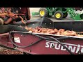 Unloading Sweet Potatoes From Trailer With Coveyors