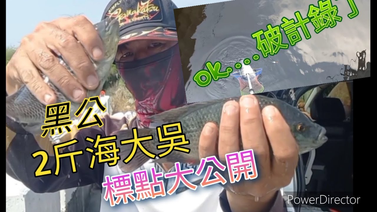 黑公爆咬釣點大公開，超大隻的海水吳郭魚標點#黑公#海水吳郭魚@釣魚那件事