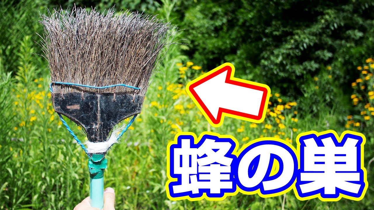 蜂に襲われました。まさかこんなところに蜂の巣があるなんて。