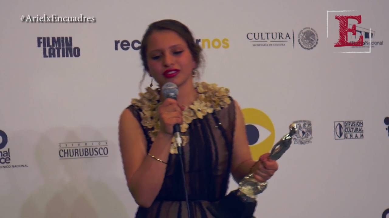 Ariel 2016: La fiesta del cine mexicano