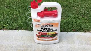 Spectracide Weed and Grass Killer - 2nd part - 36 to 72hr review
