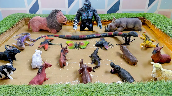 An Unlikely Alliance Between the Nocturnal Animals and Insects in Mucky Sandbox thumbnail