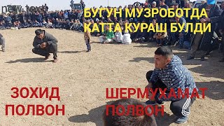 БУГУН МУЗРОБОТДА КАТТА КУРАШ БУЛДИ ЗОХИД ПОЛВОН ШЕРМУХАМАТ ВА НИХОЙАТ КУРАШДИ 2021.10.10