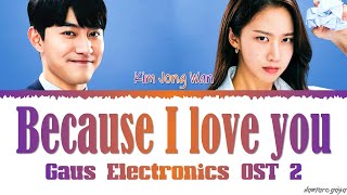 Kim Jong Wan of NELL Because I love you Gaus Electronics OST Part 2 Lyrics
