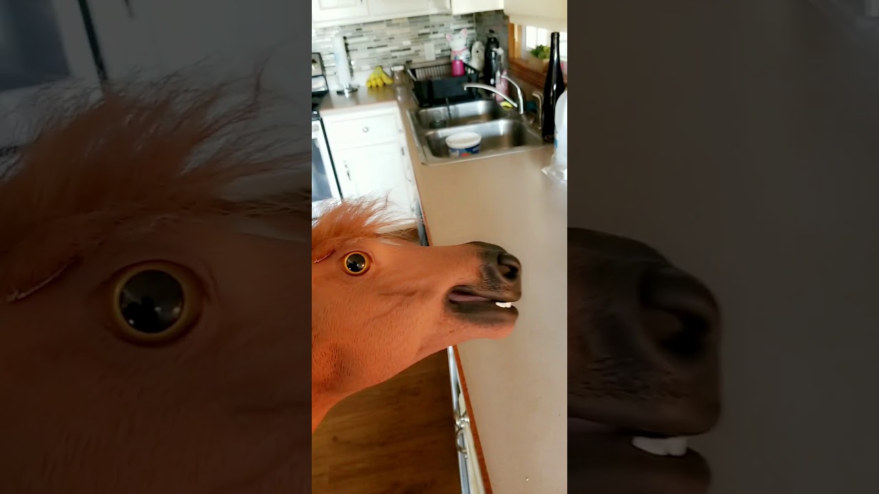 camera iphone 8 plus apk Horse shark