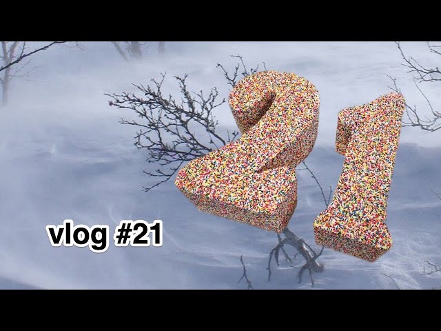 vlog #21 - 21/21/21