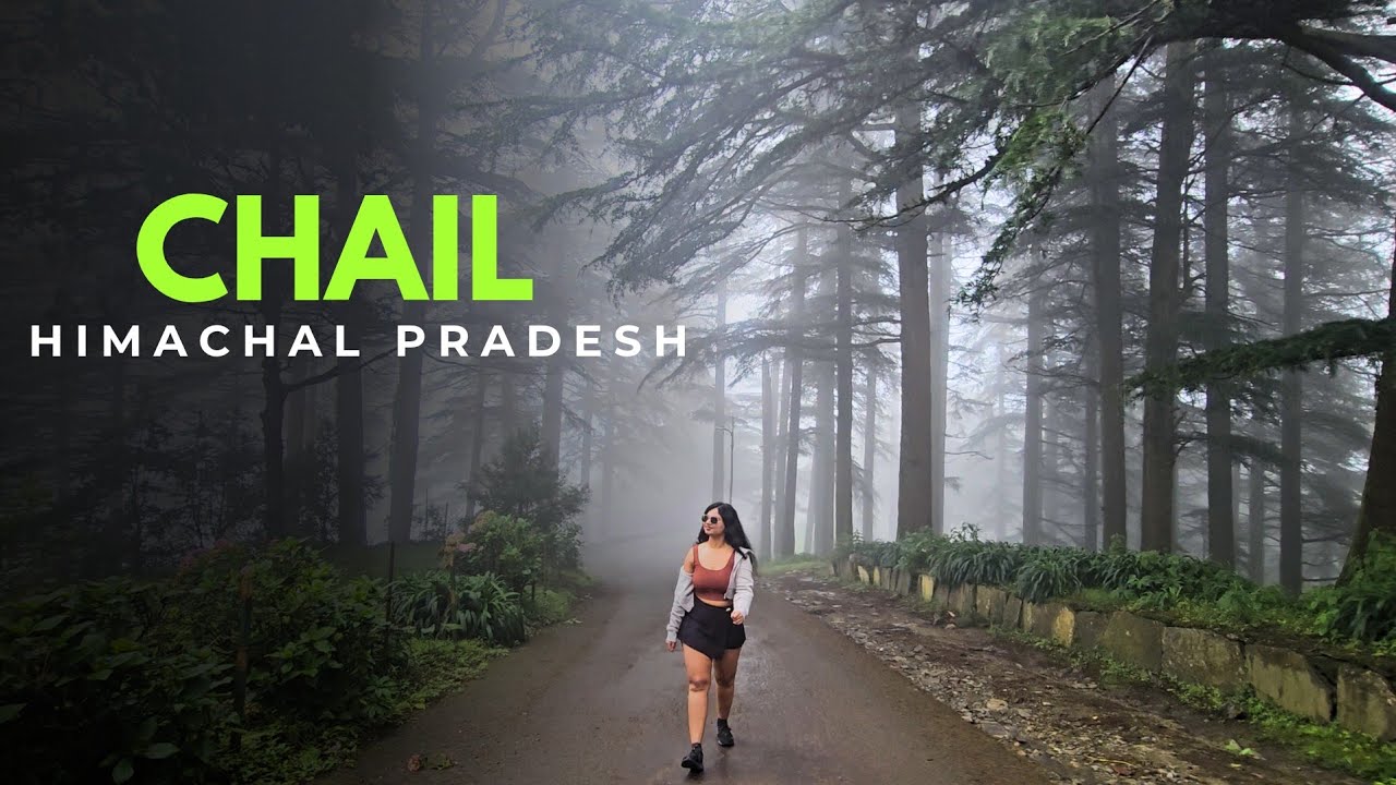 CHAIL : An offbeat Hill station of Himachal Pradesh | Inside of Chail Palace, Log huts | Sadhupul