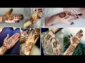 Navratri Special Unique Mehndi Design&#39;s||Simple and Easy Mehndi Design&#39;s||Mehndi Design&#39;s 2022