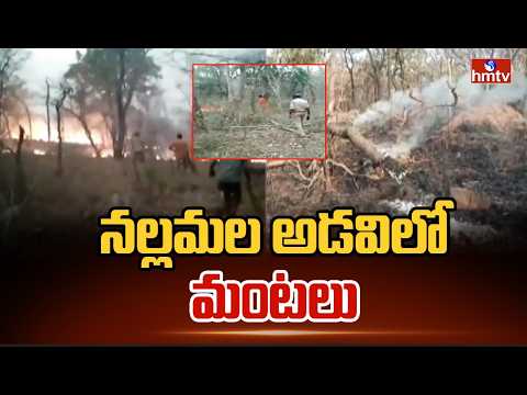 నల్లమల అడవిలో మంటలు | Fire Broke out in Nallamala Forest | hmtv - HMTVNEWS