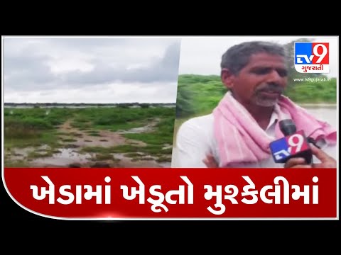 Waterlogged farms, damaged crops worry farmers in Kheda | TV9News