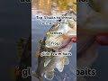 #audio #fishing #bassfishing #trending #fish