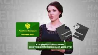 МФЦ - Охотничий билет. МФЦ - Охотничий билет.