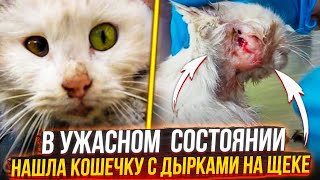 В УЖАСНОМ СОСТОЯНИИ  НАШЛА  КОШЕЧКУ С ПРОКУСАНОЙ ЩЕКОЙ🥺