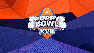 Puppy Bowl 2021 - Forever Vets Animal Hospital
