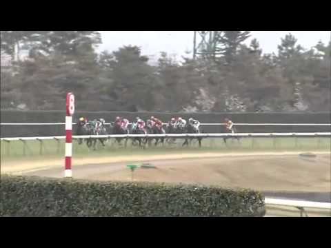 フミノイマージン 福島牝馬ステークス 2011