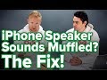 iPhone Speaker Sounds Muffled? An Apple Tech's Fix!