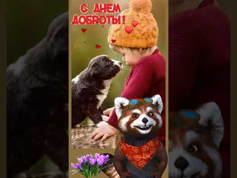С Днем доброты! Всем добра и нежности!!!