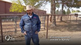 BQA Tip - Online Modules Available with Dean Fish (En Espanol)