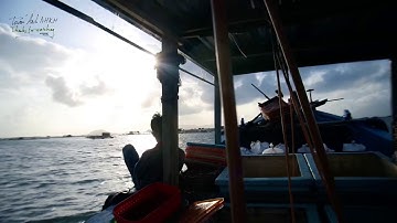 câu cá biển trên Vịnh Vân Phong - Khánh Hoà l Travel experience | Nha Trang travel