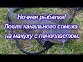 Старобешево ночная рыбалка  Ловля канального сомика на макуху с пенопластом channel catfish