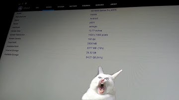 Fake Android device. RAM & ROM vs CPU-z