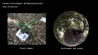 Immersive Flora: Re-Engaging with the Forest Through the Visualisation of Plant-Environment Inter...
