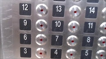 Modernized 1969 Otis Touch Sensitive Service Elevators