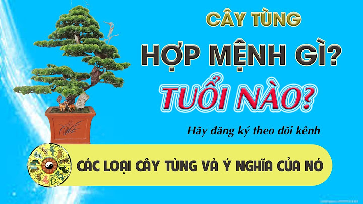 Cay tung có xuất xứ từ khu vực nào năm 2024