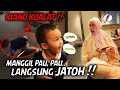 Abis MANGGIL PAU PAU PAU, LANGSUNG JATOH ‼️ Nah Kann ..