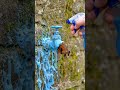 100 Years of Rust Gone in Seconds 😳”| Rust Removing Amazing