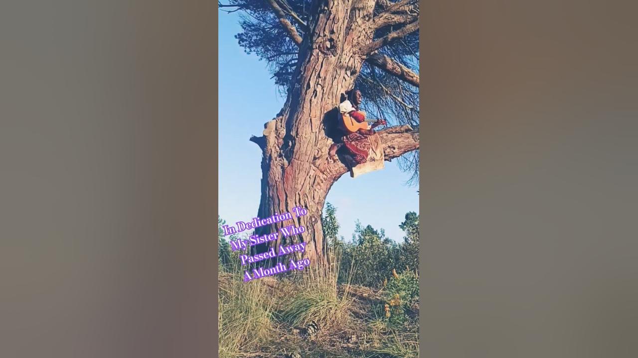 "Farafina Mousso"-#Lubiana, #Coversong for my #sister who passed awayπ₯Ήπͺ½π€πͺ½ππΏβ¨πͺ·ππΆ #healing #daughters "Farafina Mousso"-#Lubiana, #Coversong for my #sister who passed awayπ₯Ήπͺ½π€πͺ½ππΏβ¨πͺ·ππΆ #healing #daughters