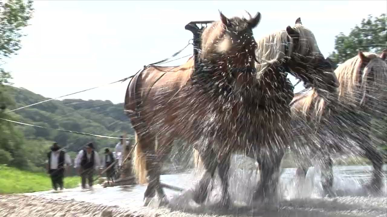 les radeliers de la Loue à  Port Lesney