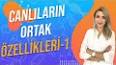 Canlıların Temel Özellikleri ile ilgili video