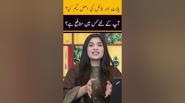 Difference between Plot & File | Investment Risk Level | Profit or Loss | Complete Details | 2023