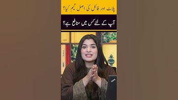 Difference between Plot & File | Investment Risk Level | Profit or Loss | Complete Details | 2023