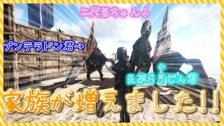 家族が増えました！ARKやって行くじぇ