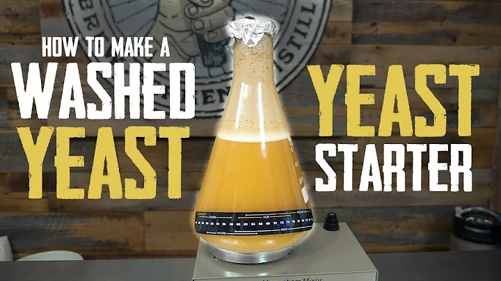 How to Make A Yeast Starter with Harvested and Washed Yeast - DayDayNews