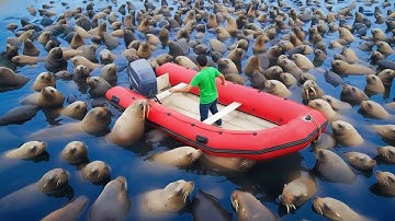 That Was Really Filmed On Camera