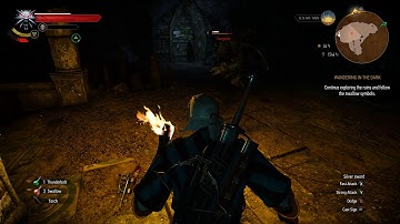 The Witcher 3 - Gargoyle Fight