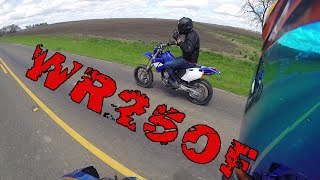 WR250F | The Reveal