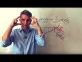 Forex Chart Patterns - So Pretty, But So Deceiving - YouTube