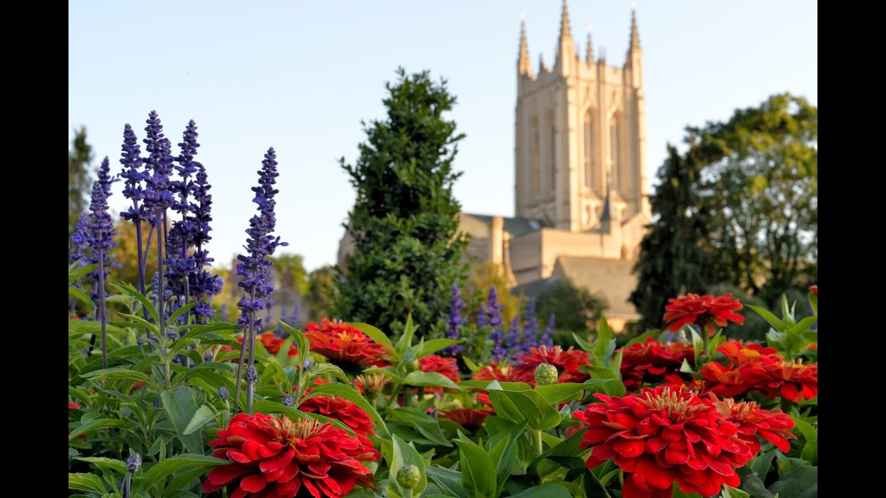 Abbey Gardens Bury St Edmunds YouTube