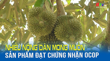 Nhiều nông dân mong muốn sản phẩm đạt chứng nhận OCOP