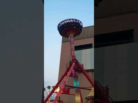 Discovery | Joyland