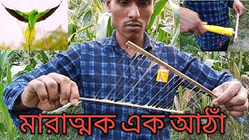 টিয়া পাখি শিকার। রেডিমেড আঠা দিয়ে। ইদুর মারা আঠা। সকল কিছু ধরার আঠা। সবচেয়ে শক্তিশালি আঠা। টিয়া।পাখি
