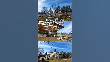 Roof and walls going up! #garagebuilder #shopbuilder #farrowbuilt #workshop