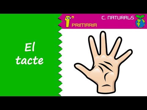 Vídeo: Què és El Tacte?