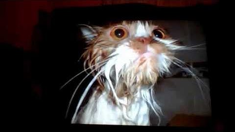 per lorenzo masiero e per chiunque voglia vederlo