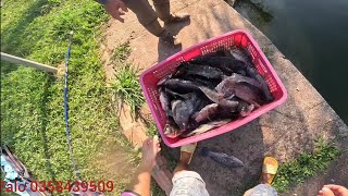 Fishing | Câu Đài | Tập 202 | Câu Mặt Trong Thi Đấu Hồ Gió Đồng Di Linh | Nghiện Câu TV