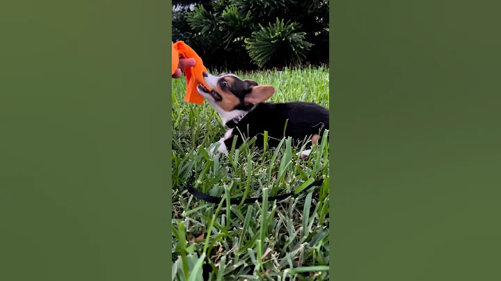 Criminal Offensive Side Eye 👀